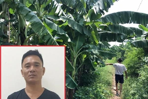 Bắt nghi can xâm hại bé 12 tuổi ở vườn chuối