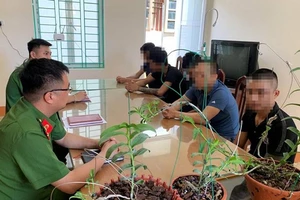 Công an cảnh báo nguy cơ 'sập bẫy' hoa lan đột biến gen