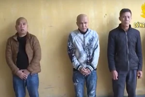 Bắt ‘trùm’ cá độ, thu giữ ô tô Mercerdes, Lexus