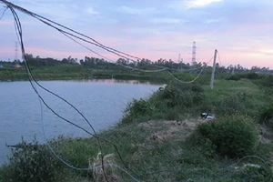 Dùng bẫy điện diệt chuột gây chết người, có bị xử hình sự?