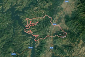 Con trai dùng dao sát hại cha mẹ rồi tự tử