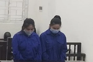 Tú bà bay từ TP.HCM ra Hà Nội bán dâm giá 13 triệu đồng/lượt