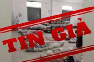 Thông tin 'hình ảnh xác chết do COVID-19 tại TP.HCM' là tin giả