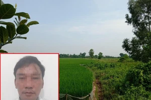 Dùng điện bẫy chuột, làm chết bà hàng xóm