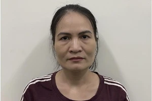 Bắt giam nữ chuyên viên Tổng cục Đường bộ cấp khống 1.000 thẻ ‘luồng xanh’