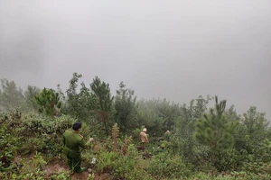 Ô tô lao xuống vực sâu 200 m ở đèo Mã Pí Lèng, 3 người tử vong