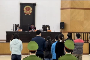 Triệu tập đại diện Bộ GD&ĐT đến tòa vụ cấp bằng giả tại Đại học Đông Đô