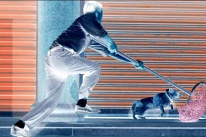 Đánh chết trộm chó, chủ nhà bị điều tra tội giết người