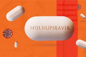 Nóng: Bộ Y tế cảnh báo thuốc Molnupiravir ảnh hưởng đến tinh trùng, xương sụn