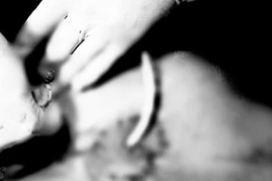 Thông tin mới vụ chồng bị vợ cắt phăng ‘của quý’ vì mâu thuẫn