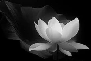 Trưởng công an huyện tử vong tại nhà riêng vì ‘trầm cảm sau COVID-19’