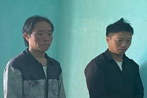 3 anh em ruột bị khởi tố vì cưa đổ 2 cây gỗ nghiến cổ thụ