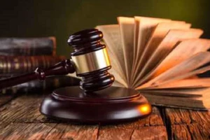 Bộ Công an khởi tố nguyên viện trưởng Viện nghiên cứu SENA theo Điều 331