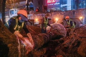 Bộ Công an yêu cầu định giá cây xanh trồng trên đường phố Hà Nội