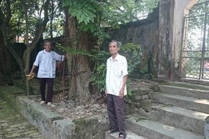 Người dân thay phiên nhau “canh gác” 2 gốc sưa tiền tỷ