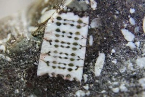 Vật thể nghi là vi mạch 250 triệu năm tuổi ở Nga