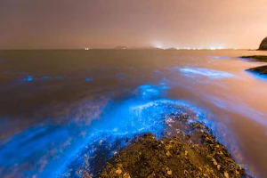 Bờ biển sáng xanh kỳ lạ ở Trung Quốc