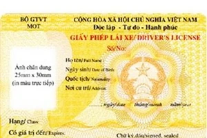 Không nên cấp bằng lái xe số tự động