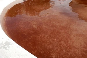 'Mưa máu' nhuộm đỏ hồ nước Tây Ban Nha