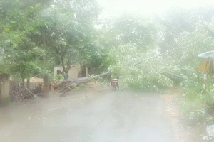 Hà Nội tiếp tục có mưa to về chiều, đề phòng ngập nặng