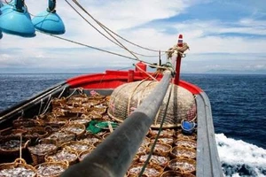 Truyền hình Đài Loan tìm hiểu về nước mắm ở Phan Thiết