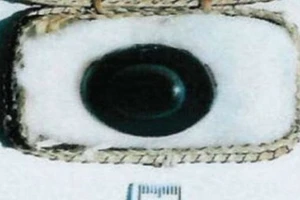 Viên đá hơn 3.000 năm tuổi có giá 200 triệu USD