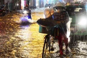 Chiều tối nay, miền Nam lại có mưa vừa, mưa to