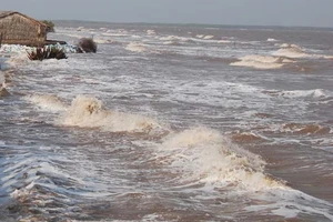 Bão số 6 theo hướng Bắc Tây Bắc, gió giật cấp 12