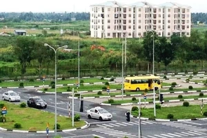 Học lái xe có quy định thời gian lý thuyết, thực hành?