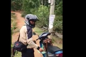 Xem hoa Anh đào phải qua 'trạm thu phí' bờ ao