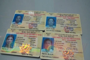 Có được tách hạng giấy phép lái xe đã tích hợp?