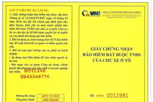 CSGT có được lập biên bản lỗi không mang bảo hiểm xe?