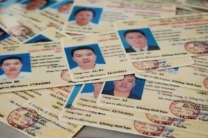 Sai năm sinh trên giấy phép lái xe phải làm sao?