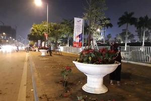 Cướp hoa sau hội nghị thượng đỉnh, xử lý sao?