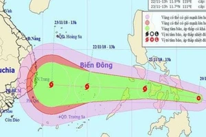Sẽ có 10-12 cơn bão, áp thấp nhiệt đới trong năm 2019