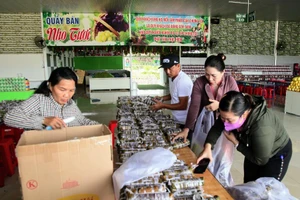 2.500 đòn bánh tét gửi đồng bào miền Trung 