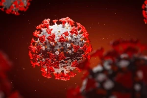 Ảnh minh họa. Ảnh: WEBMD