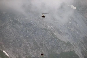 Khoảng 10 con bò được "không vận" bằng trực thăng xuống vùng núi thấp hơn trên dãy Alps ở Thụy Sĩ. Nguồn: CBS NEWS