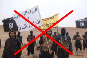 Mỹ: Không chủ quan nguy cơ IS trỗi dậy ở Syria, phải 'dập' ngay từ đầu