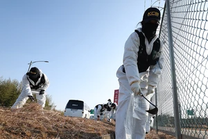 Hàn Quốc điều tra thư nặc danh từ Nhật nhận trách nhiệm thảm kịch máy bay Jeju Air