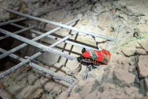 VIDEO, ẢNH: Biệt đội robot gián cứu hộ động đất ở Myanmar