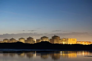 Nhà máy điện hạt nhân lớn nhất ở Pháp phải đóng cửa vì ... sứa