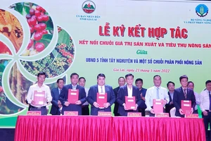 Kết nối chuỗi giá trị sản xuất, tiêu thụ nông sản vùng Tây Nguyên