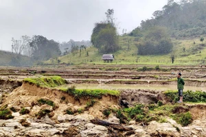 Thủy điện Đắk Re: Lên phương án hỗ trợ hơn 846 triệu đồng cho dân