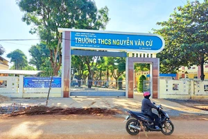 Buộc thôi việc 1 hiệu phó dùng bằng giả