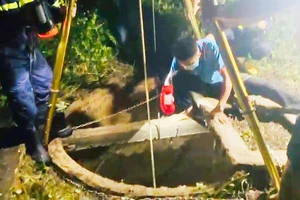 Phát hiện một người chết dưới giếng sâu ở TP Kon Tum