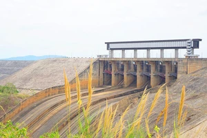 Phó Thủ tướng cho chuyển đổi 2,46 ha rừng làm thủy điện Ia Ly mở rộng