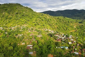 Tỉnh Kon Tum đề nghị đưa hơn 1.000 người về cư trú ở TP Đà Nẵng