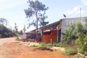 Kon Tum: Kiểm tra việc huyện Kon Plông cho thuê đất rồi làm ngơ phân lô, bán nền