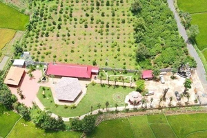 Vụ xây 'biệt phủ' trái phép ở Gia Lai: Tòa bác đơn kiện Chủ tịch TP Pleiku